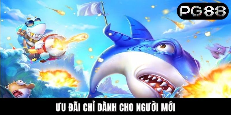 Khuyến Mãi Bắn Cá PG88 - Thông Tin Quan Trọng Ưu đãi chỉ dành cho người mới