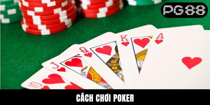 Cách Chơi Poker PG88 - Hướng Dẫn Chi Tiết Từ A - Z