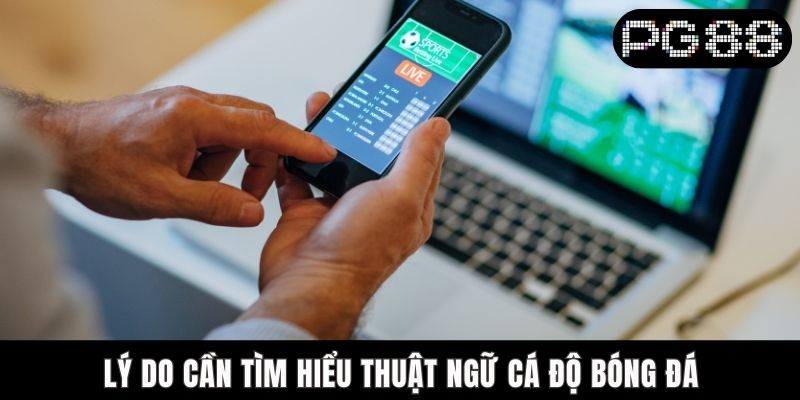 Thuật Ngữ Cá Độ Bóng Đá - Cẩm Nang Chi Tiết Cho Người Mới Lý do cần tìm hiểu thuật ngữ cá độ bóng đá
