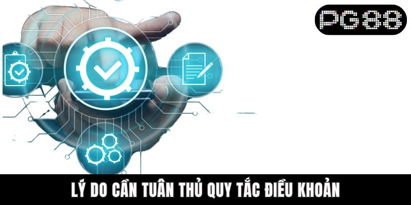 Điều Kiện Điều Khoản PG88 - Tìm Hiểu Chi Tiết 04 Quy Định Lý do cần tuân thủ quy tắc điều khoản