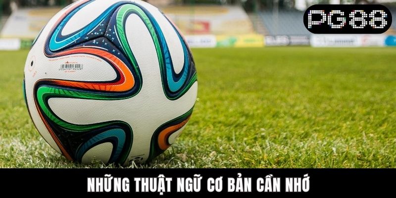 Thuật Ngữ Cá Độ Bóng Đá - Cẩm Nang Chi Tiết Cho Người Mới Những thuật ngữ cơ bản cần nhớ