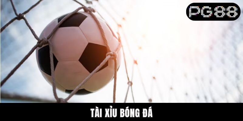 Tài Xỉu Bóng Đá – Những Kèo O/U Phổ Biến Tại Cổng PG88