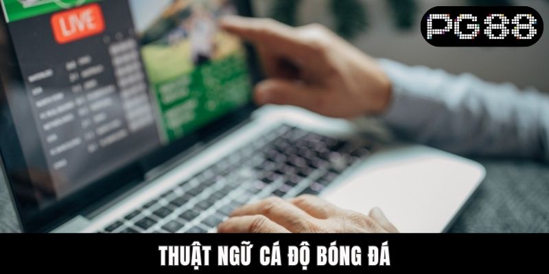 Thuật Ngữ Cá Độ Bóng Đá - Cẩm Nang Chi Tiết Cho Người Mới
