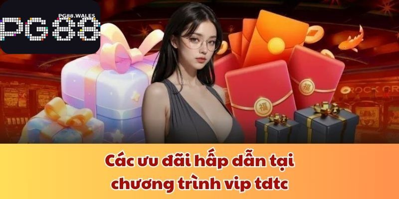 Chương Trình Vip Tdtc - Ưu Đãi Độc Quyền Không Giới Hạn Các ưu đãi hấp dẫn tại chương trình vip tdtc