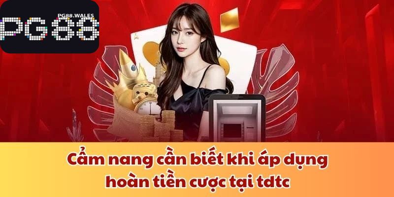 Hoàn Tiền Cược Tdtc - Bảo Hiểm Cá Cược An Toàn Cho Bet Thủ Cẩm nang cần biết khi áp dụng hoàn tiền cược tại tdtc