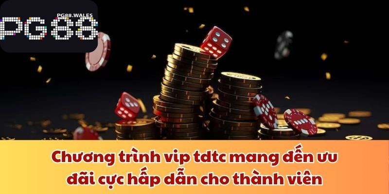 Chương Trình Vip Tdtc - Ưu Đãi Độc Quyền Không Giới Hạn Chương trình vip tdtc mang đến ưu đãi cực hấp dẫn cho thành viên